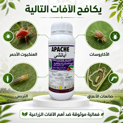 APACHE - أباشي