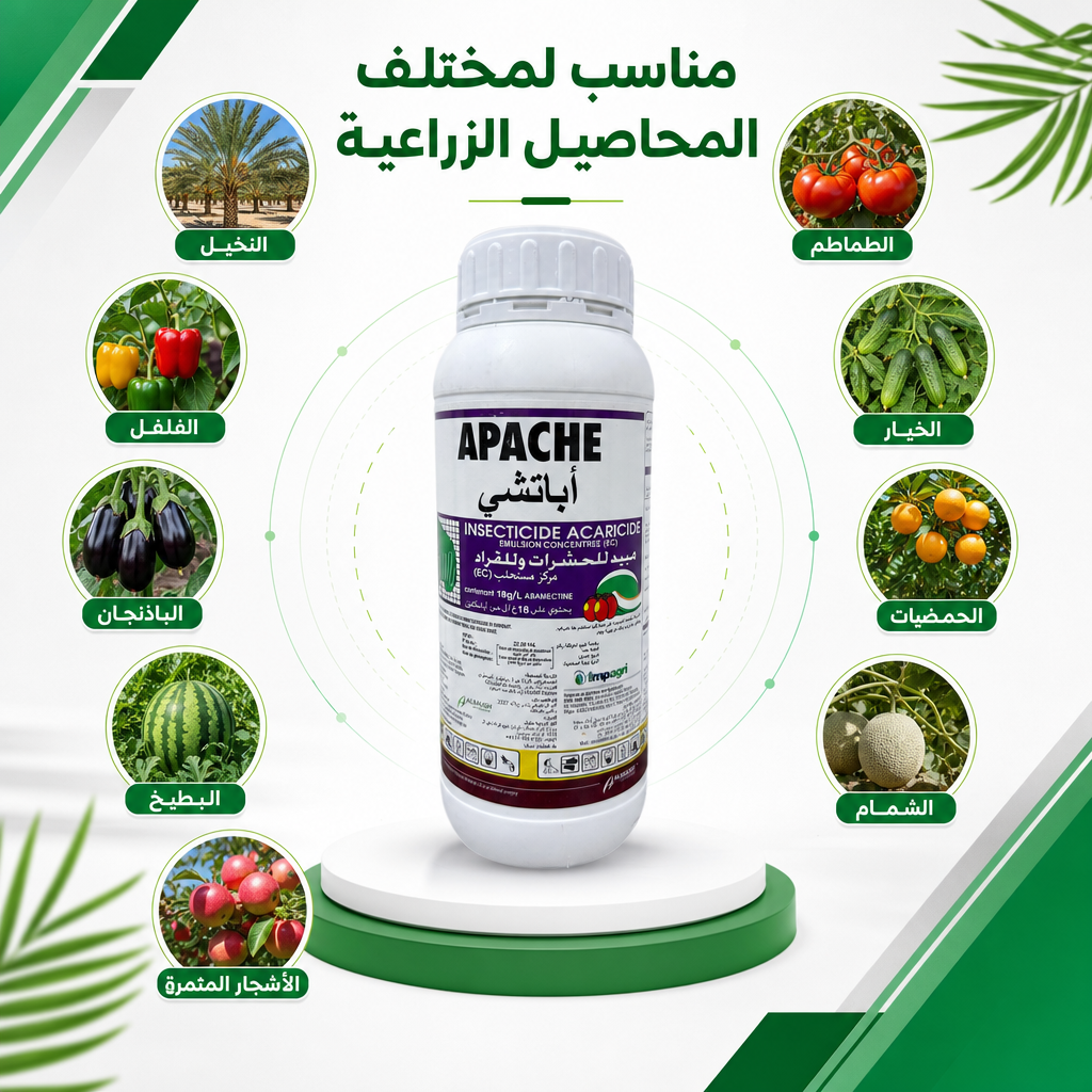 APACHE - أباشي